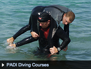 divingcourses